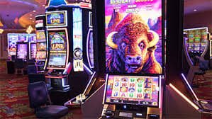 317 bet